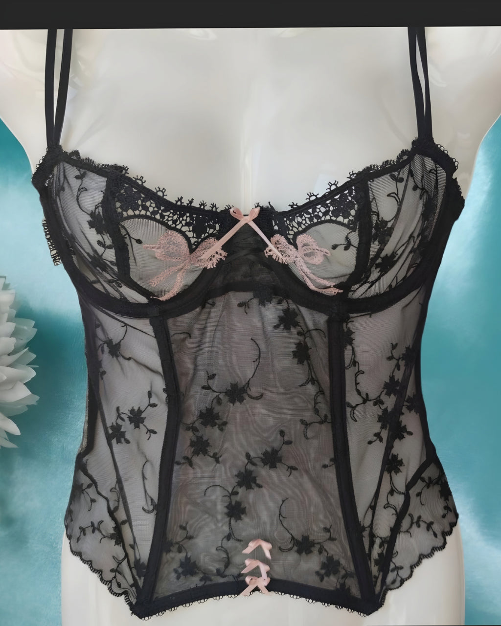 Sheer Night Corset